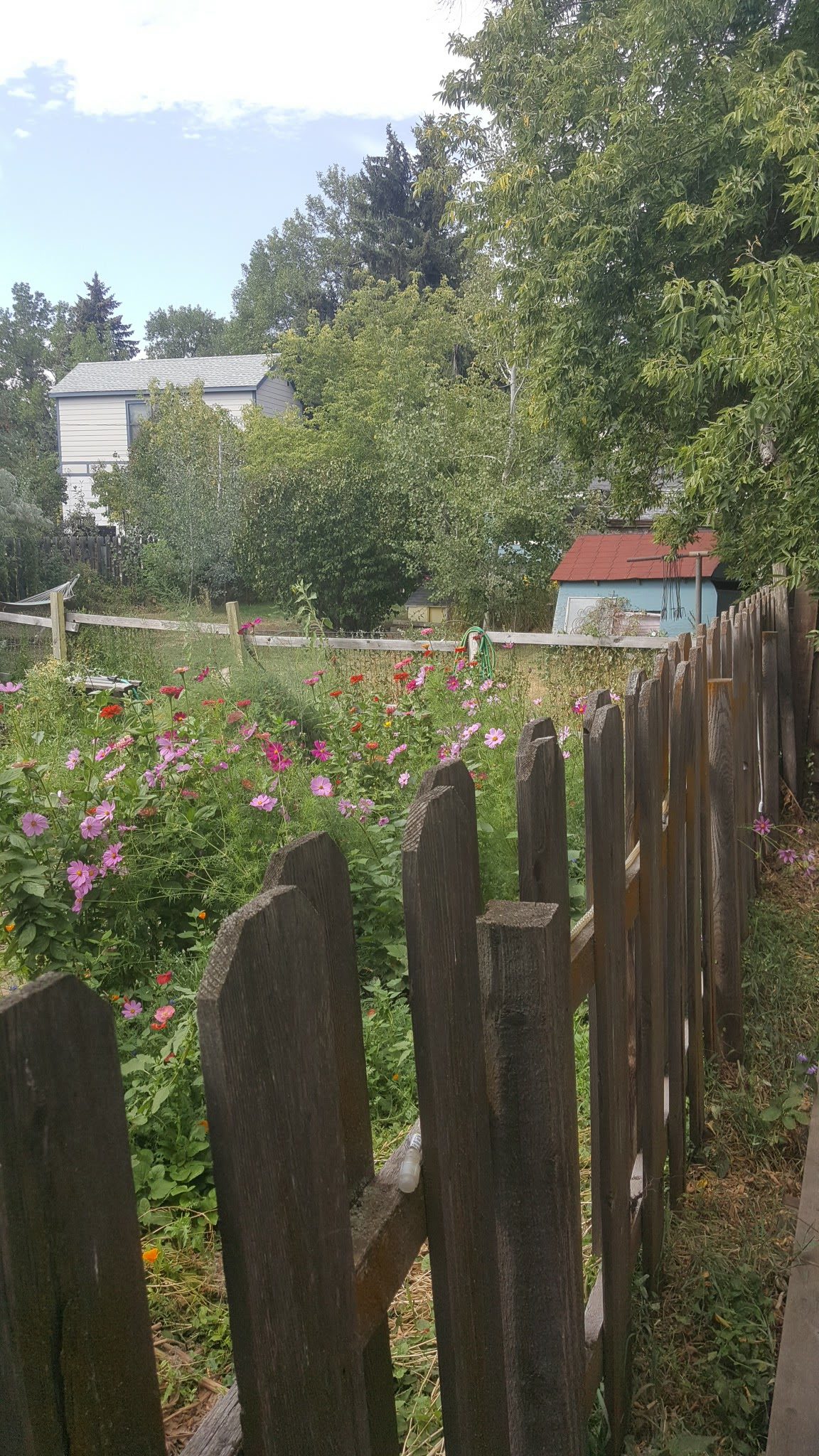 20160901_113924